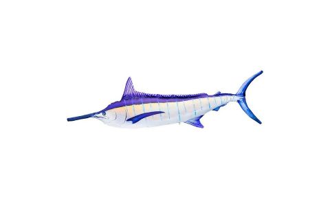 VANKÚŠ - THE MONSTER BLUE MARLIN VANKÚŠ - THE MONSTER BLUE MARLIN