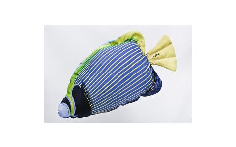 VANKÚŠ V TVARE RYBY - EMPEROR ANGELFISH WHITE VANKÚŠ V TVARE RYBY - EMPEROR ANGELFISH WHITE