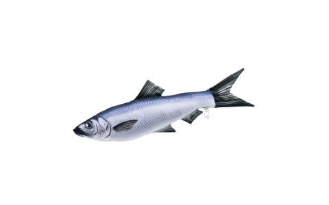 VANKÚŠ V TVARE RYBY - HERRING VANKÚŠ V TVARE RYBY - HERRING