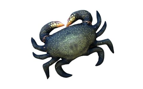 VANKÚŠ V TVARE KRABA – THE MUD CRAB 60 CM VANKÚŠ V TVARE KRABA – THE MUD CRAB 60 CM