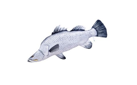 VANKÚŠ V TVARE RYBY – BARRAMUNDI, 95 CM VANKÚŠ V TVARE RYBY – BARRAMUNDI, 95 CM