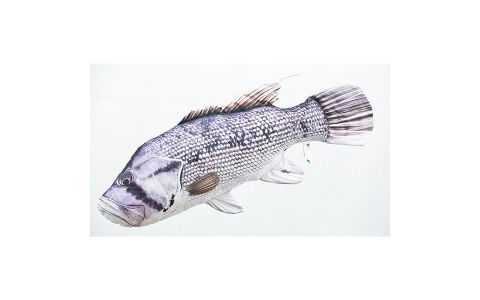 VANKÚŠ V TVARE DHUFISH – 80 CM VANKÚŠ V TVARE DHUFISH – 80 CM