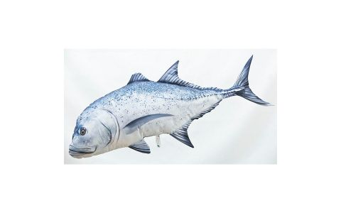 VANKÚŠ V TVARE GIANT TREVALLY – 100 CM VANKÚŠ V TVARE GIANT TREVALLY – 100 CM