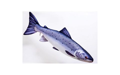 VANKÚŠ - THE ATLANTIC SALMON 90CM VANKÚŠ - THE ATLANTIC SALMON 90CM