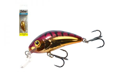 SALMO RATTLIN HORNET SHALLOW SALMO RATTLIN HORNET SHALLOW