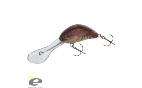 Salmo Hornet 5 cm SDR Salmo Hornet 5 cm SDR