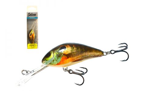 SALMO HORNET SALMO HORNET