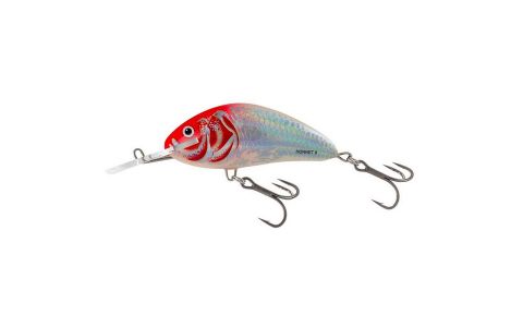 Salmo Hornet 9 cm F, S Salmo Hornet 9 cm F, S