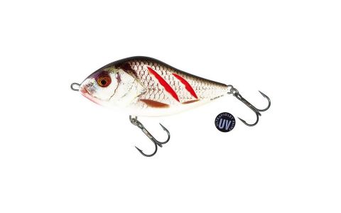 Salmo Slider 10cm, F, S Salmo Slider 10cm, F, S