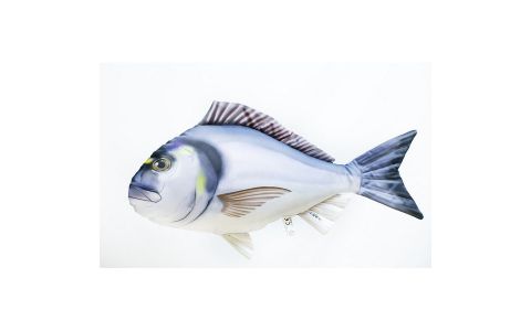 VANKÚŠ - THE GILTHEAD SEA BREAM 60CM VANKÚŠ - THE GILTHEAD SEA BREAM 60CM