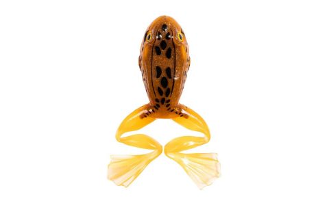 LIVETARGET FREESTYLE FROG 2.0 FLOATING LIVETARGET FREESTYLE FROG 2.0 FLOATING