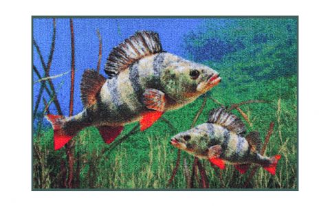 Rohož 3D ostrieže 60x40cm Rohož 3D ostrieže 60x40cm