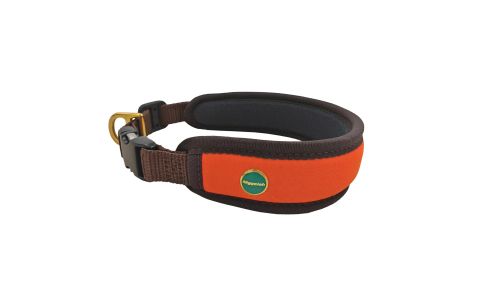 Obojok Fashion oranžový