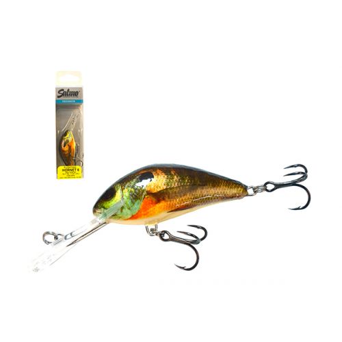 SALMO HORNET