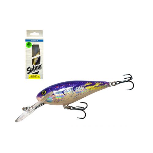 SALMO EXECUTOR