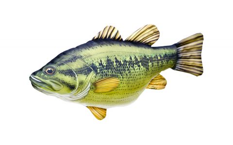 VANKÚŠ V TVARE RYBY – OSTRAČKA