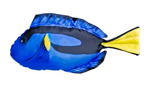 VANKÚŠ RYBA DORY