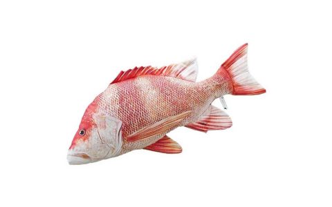 VANKÚŠ V TVARE RYBY – ATLANTIC REDFISH, 75 CM