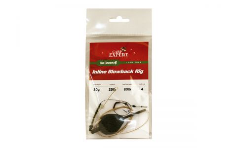 CARP EXPERT LEADFREE GO GREEN INLINE BLOWBACK RIG 80G