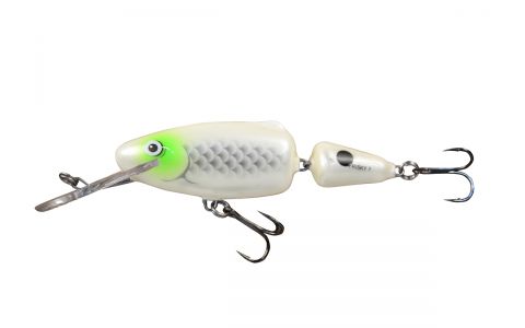 SALMO FRISKY