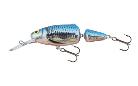 SALMO FRISKY