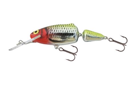 SALMO FRISKY