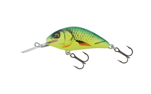 Salmo Hornet 2,5 cm S