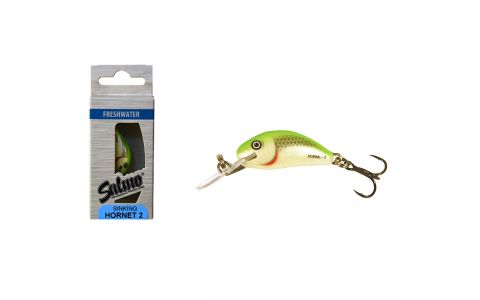 Salmo Hornet 2,5 cm S