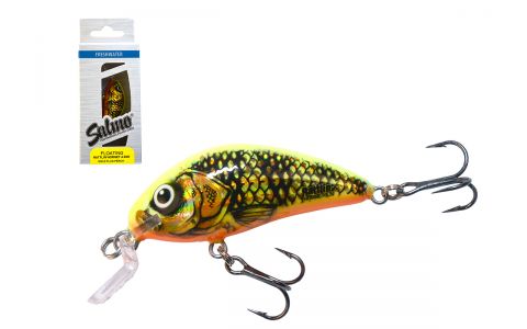 SALMO RATTLIN HORNET SHALLOW