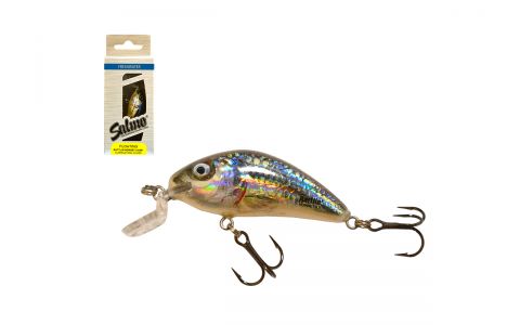 SALMO RATTLIN HORNET SHALLOW