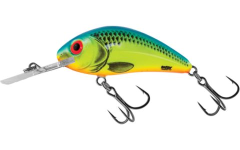 SALMO RATTLIN HORNET