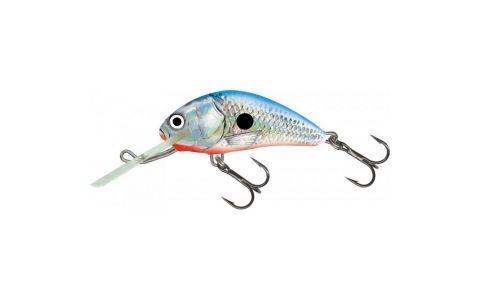 SALMO HORNET