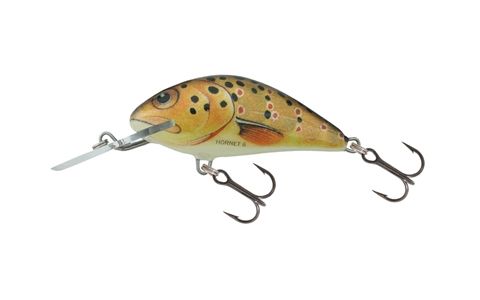 SALMO HORNET
