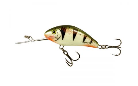 SALMO HORNET