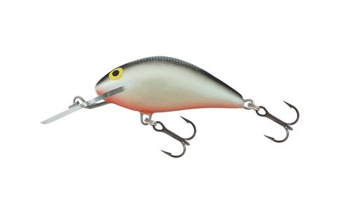 SALMO HORNET