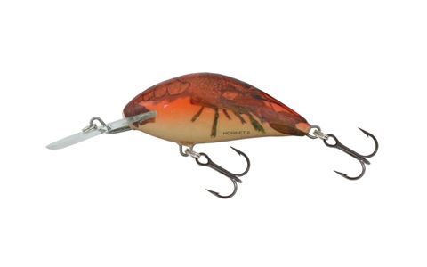 SALMO HORNET