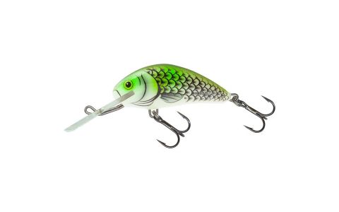 SALMO HORNET