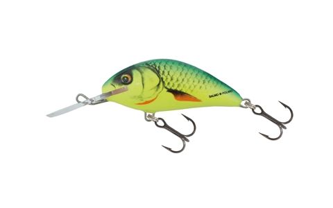 SALMO HORNET