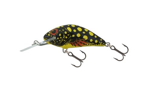 SALMO HORNET