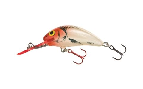 SALMO HORNET
