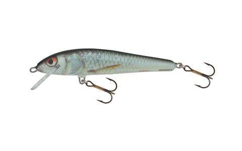 Salmo Minnow 7 cm F, S