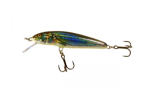 Salmo Minnow 7 cm F, S