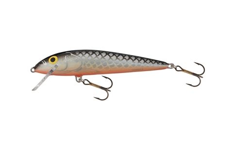 Salmo Minnow 7 cm F, S