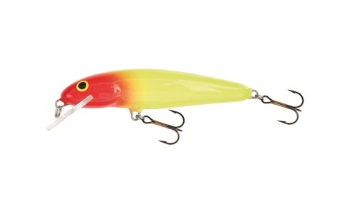 Salmo Minnow 7 cm F, S