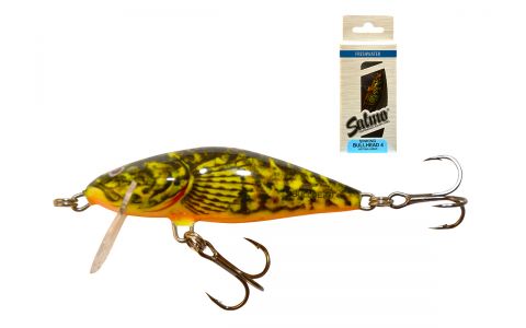SALMO BULLHEAD