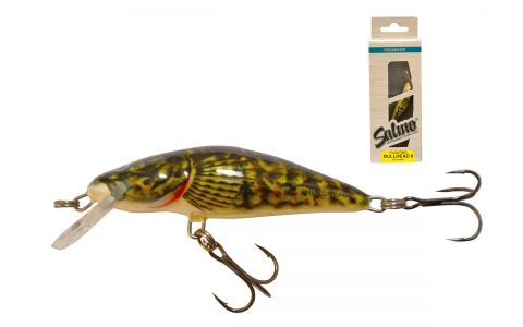 SALMO BULLHEAD