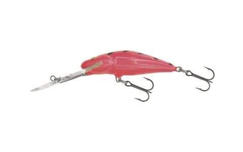 SALMO BULLHEAD