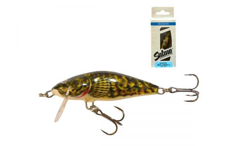 SALMO BULLHEAD