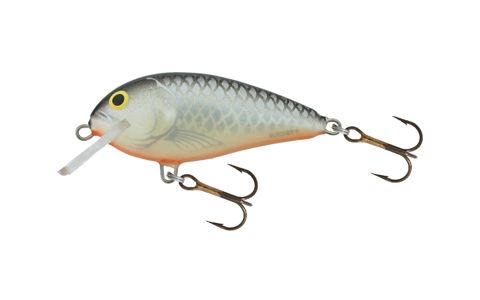 SALMO BUTCHER