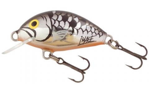 SALMO WOBBLER TINY IT3F,IT3S